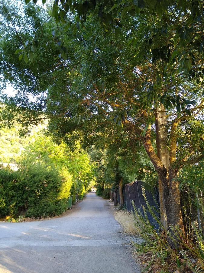 El Antiguo Molino ξενώνας El Bosque Εξωτερικό φωτογραφία
