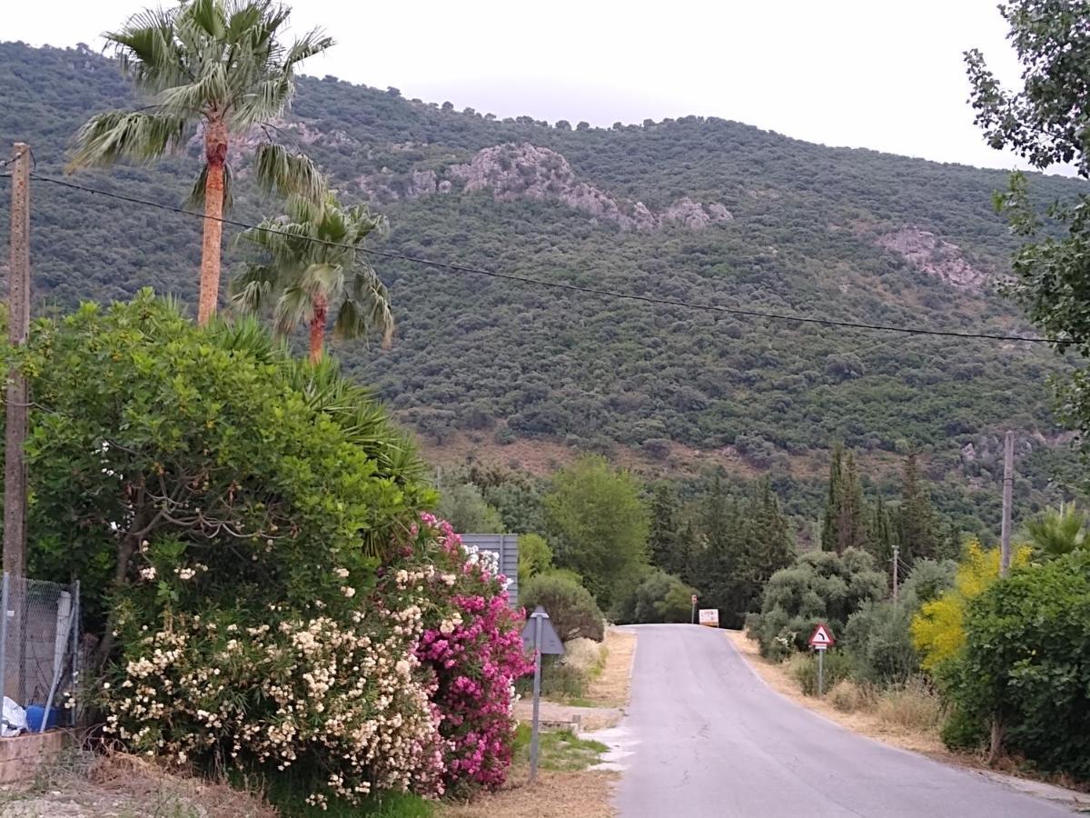 El Antiguo Molino ξενώνας El Bosque Εξωτερικό φωτογραφία