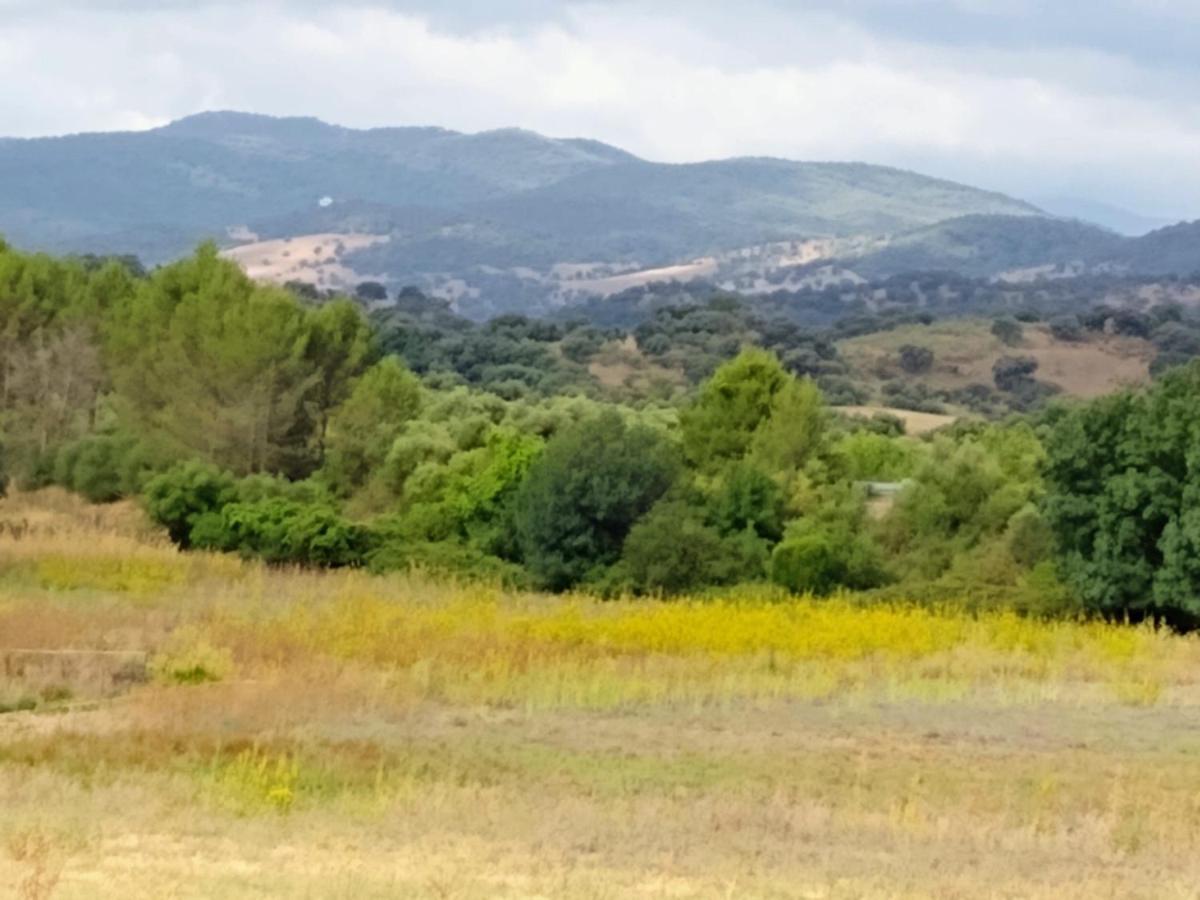 El Antiguo Molino ξενώνας El Bosque Εξωτερικό φωτογραφία