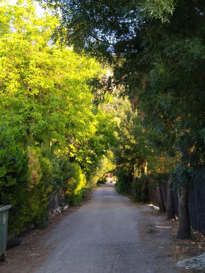 El Antiguo Molino ξενώνας El Bosque Εξωτερικό φωτογραφία