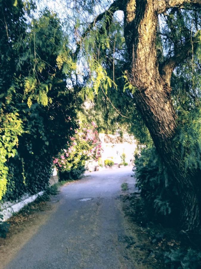 El Antiguo Molino ξενώνας El Bosque Εξωτερικό φωτογραφία