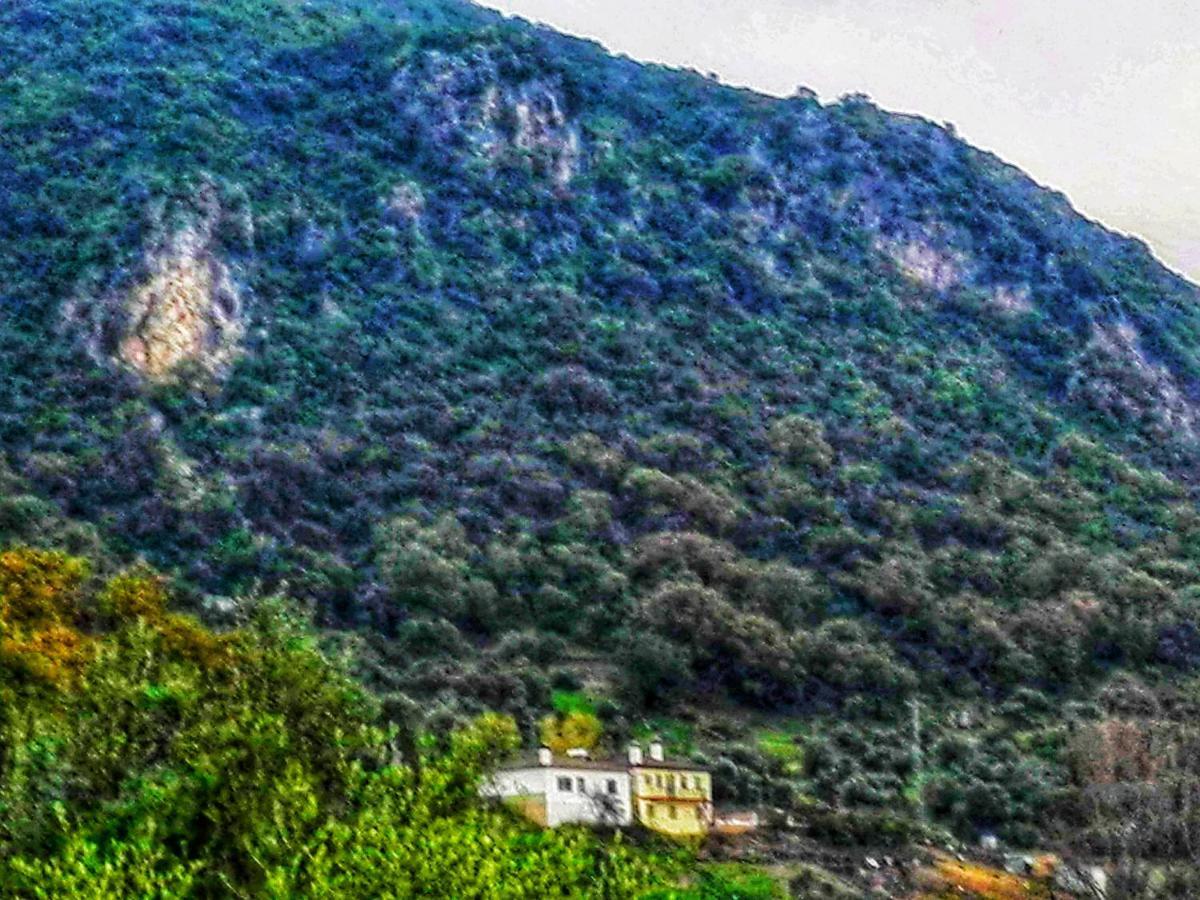 El Antiguo Molino ξενώνας El Bosque Εξωτερικό φωτογραφία