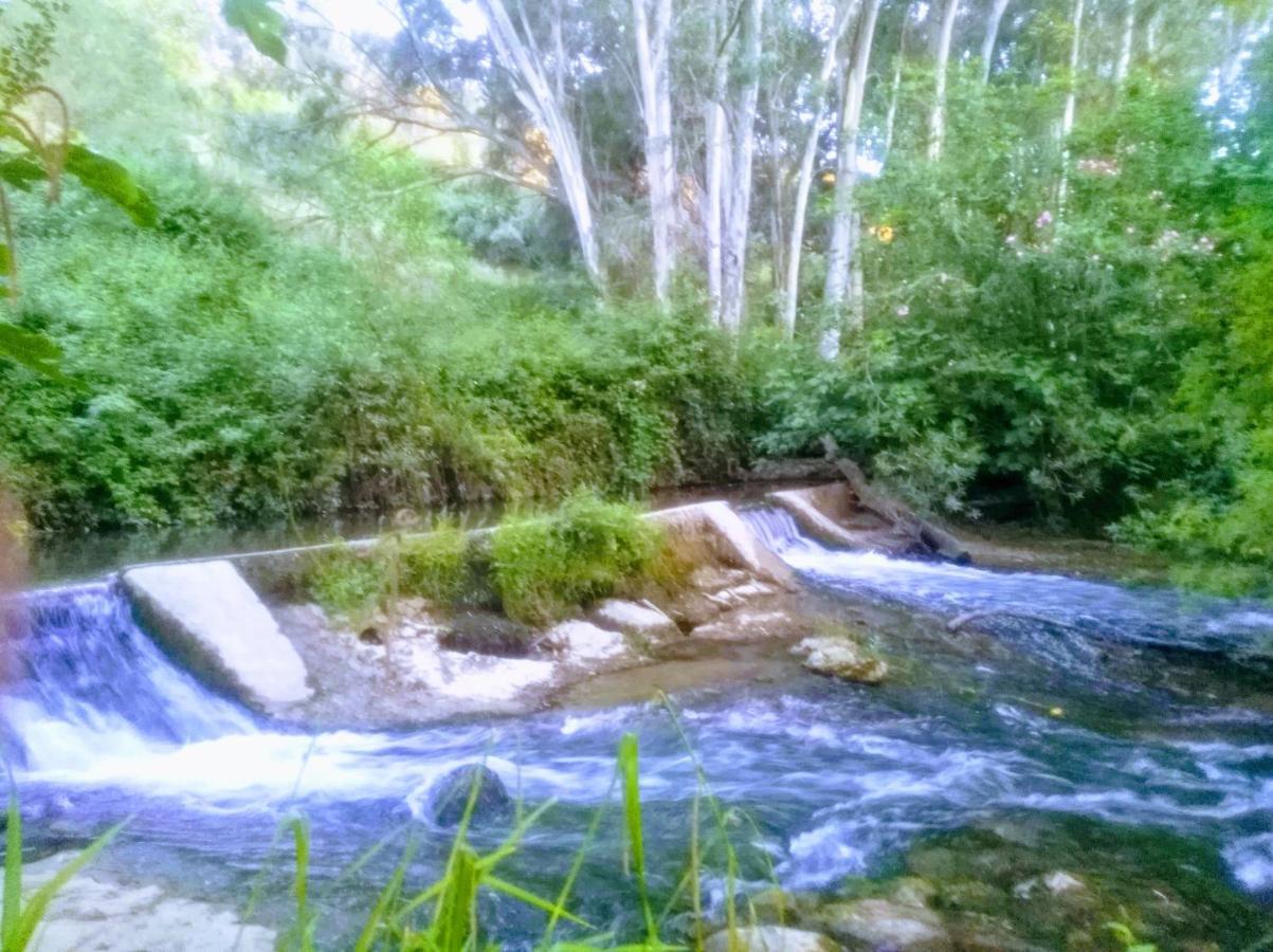 El Antiguo Molino ξενώνας El Bosque Εξωτερικό φωτογραφία