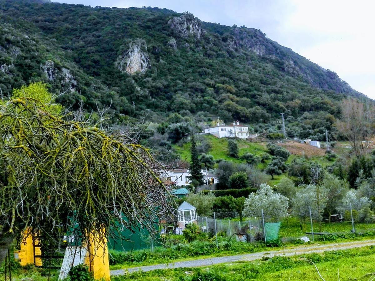 El Antiguo Molino ξενώνας El Bosque Εξωτερικό φωτογραφία
